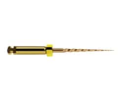 Lima Protaper Gold Sx 19 mm Maill -Dentsply Sirona