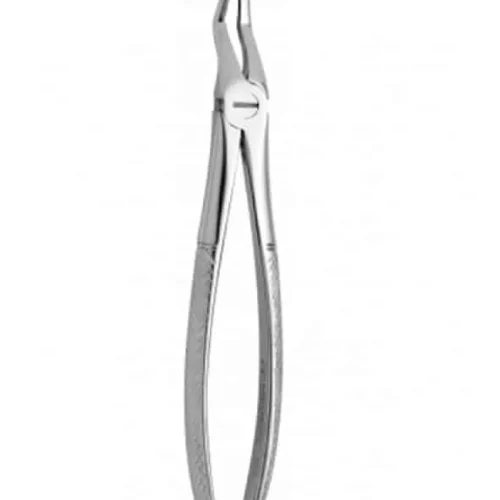 Forcep Adulto Bayoneta Fino