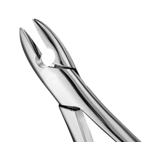 Forcep Adulto Recto Anterior Mediano