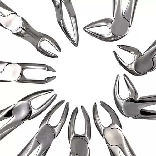 Forcep Adulto Nº 18B Ingles Grueso Sin Espolon